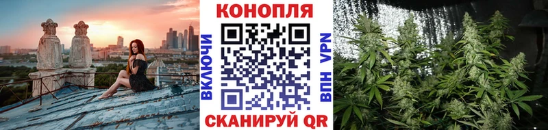Магазин наркотиков Пошехонье Галлюциногенные грибы  Меф 