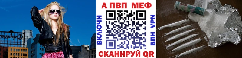 A-PVP СК  Пошехонье 