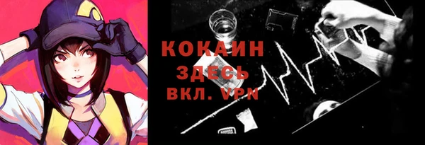 ГАЛЛЮЦИНОГЕННЫЕ ГРИБЫ Няндома