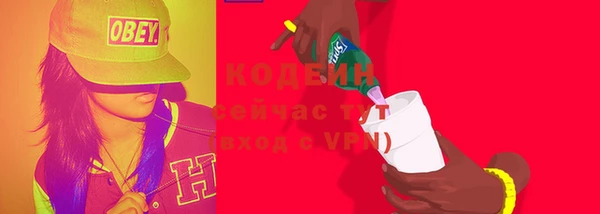 ГАЛЛЮЦИНОГЕННЫЕ ГРИБЫ Няндома