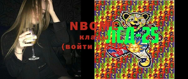 ГАЛЛЮЦИНОГЕННЫЕ ГРИБЫ Няндома