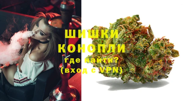 крисы Осинники