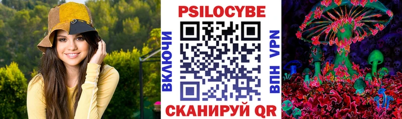 продажа наркотиков Пошехонье Псилоцибиновые грибы GOLDEN TEACHER
